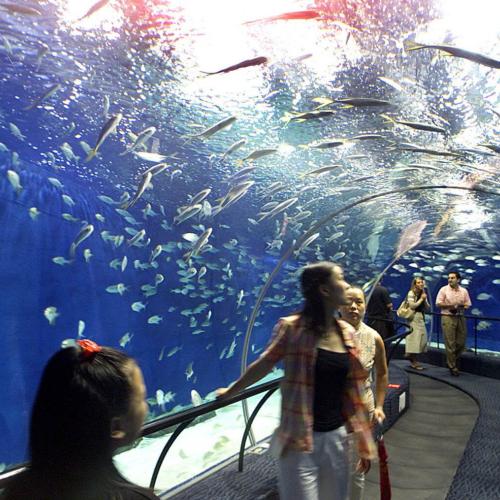 Ausflug ins Grand Aquarium in Hurghada