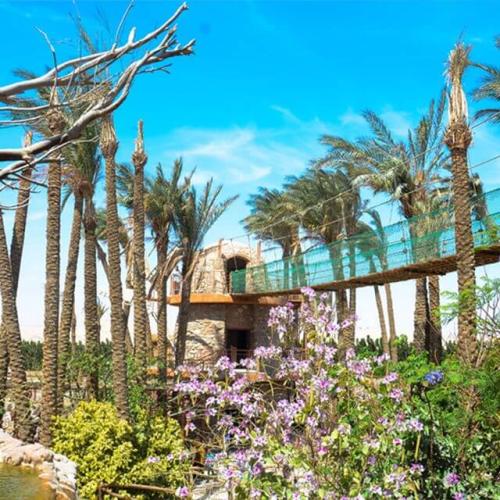 Ausflug ins Grand Aquarium in Hurghada