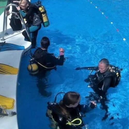 Open Water Diver