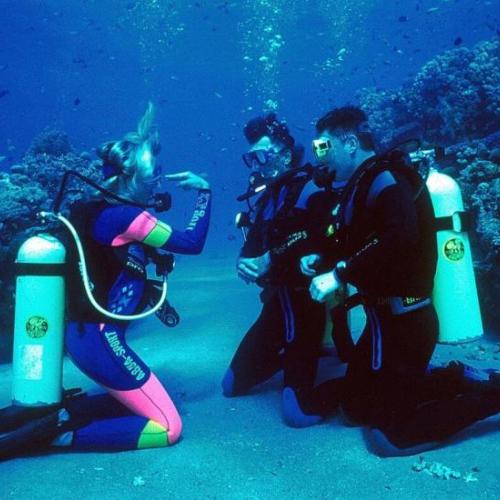 Open Water Diver